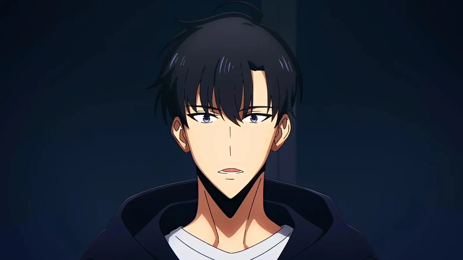 If Solo Leveling Is Your Top 2020s Anime, You've Definitely Lost the Plot