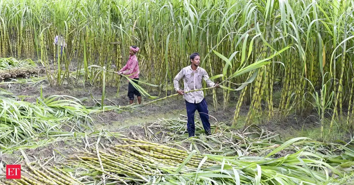 Maharashtra farmer gets Rs 6 aid for crop losses; says can't even buy cup of tea with it