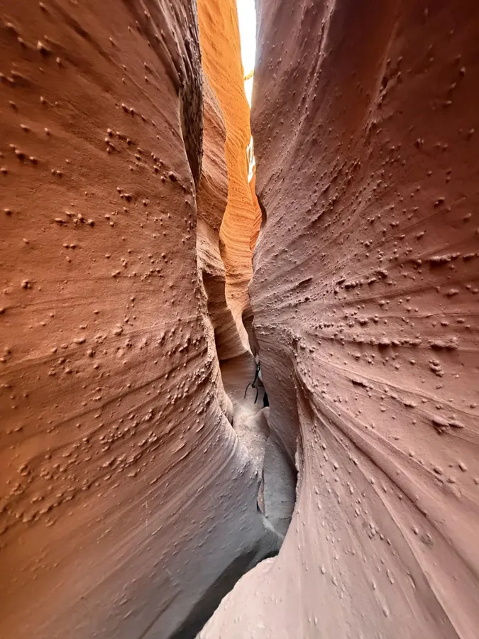 The Bad Bargain: Why We Trade Our Dreams To Escape Our Nightmares