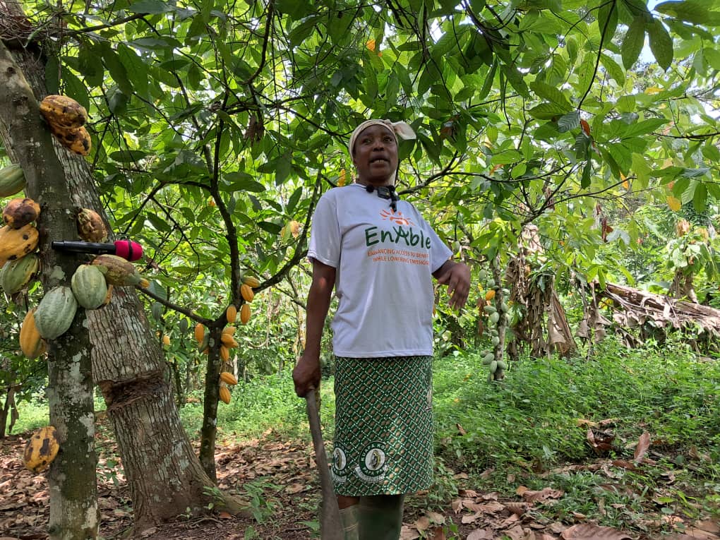 REDD+ initiative empowers Ghana’s cocoa farmers to protect forests and boost incomes