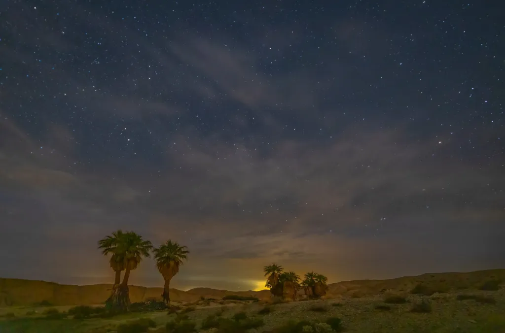 Outdoors: Oasis has fascinating story to tell