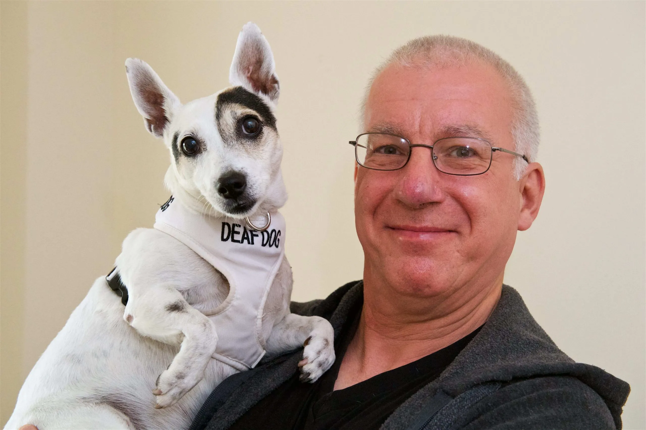 15 year milestone for ‘Wonder dog’ after surviving cancer four times