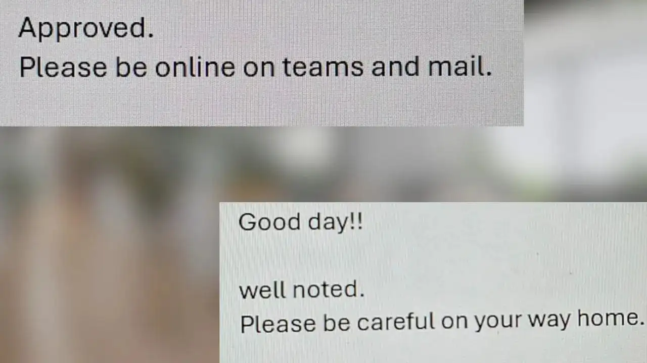 Employee Shares Leave Request Replies From Indian & Japanese Bosses; Viral Post Sparks Online Debate