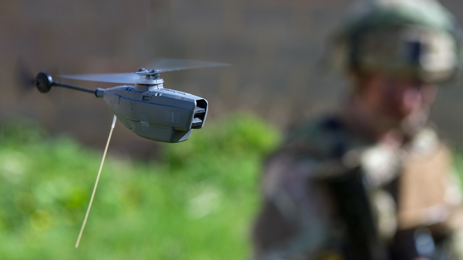 The Next Wave Of Military Drones Could Be Mosquito-Sized And Stealthy