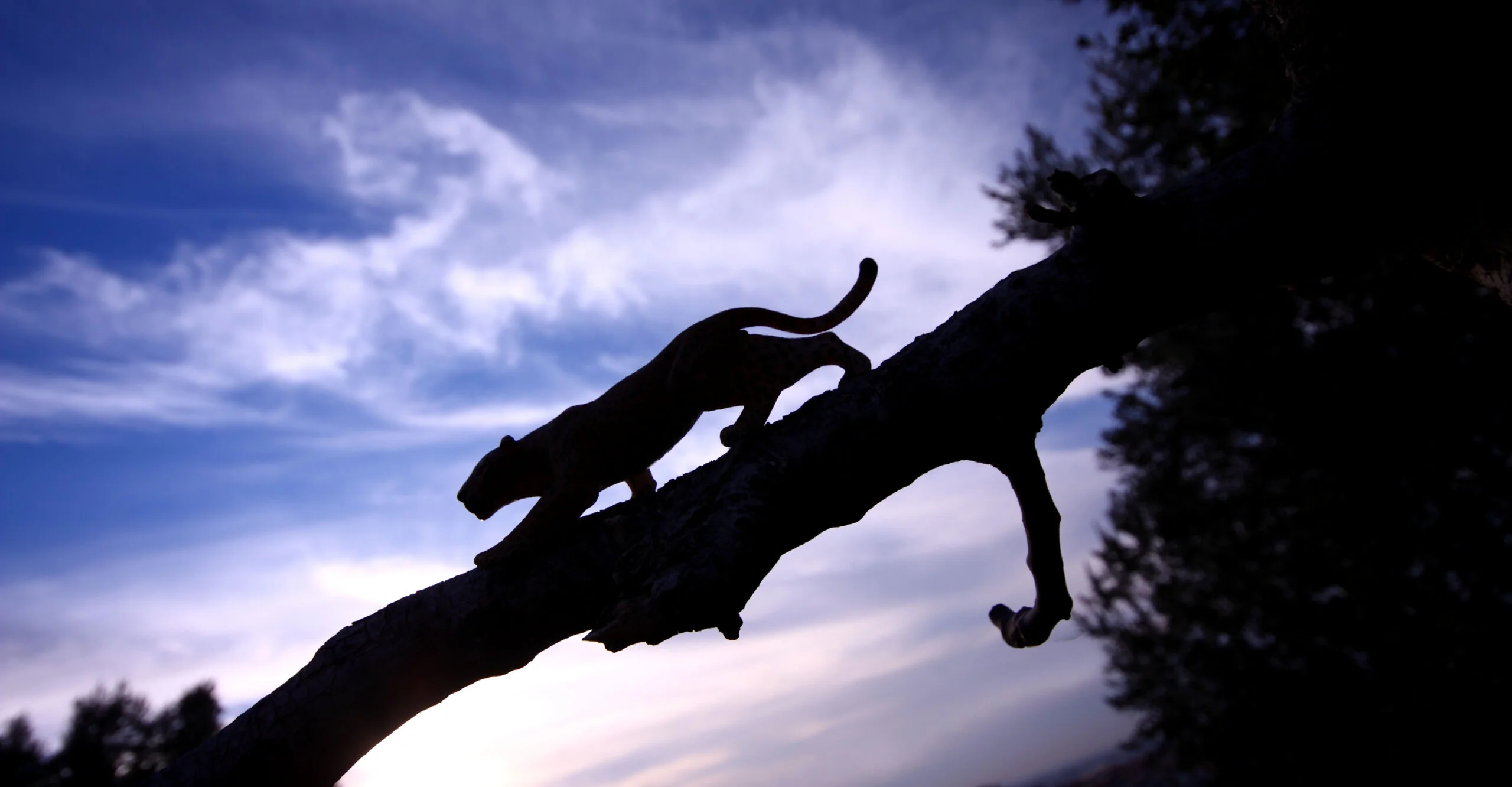 American Folklore Is More Than Just Scary Stories; It Carries a Value System