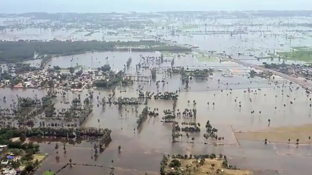 Cyclone Montha: 3 Dead as Crops, Power Lines Destroyed, Massive Crop Loss Reported