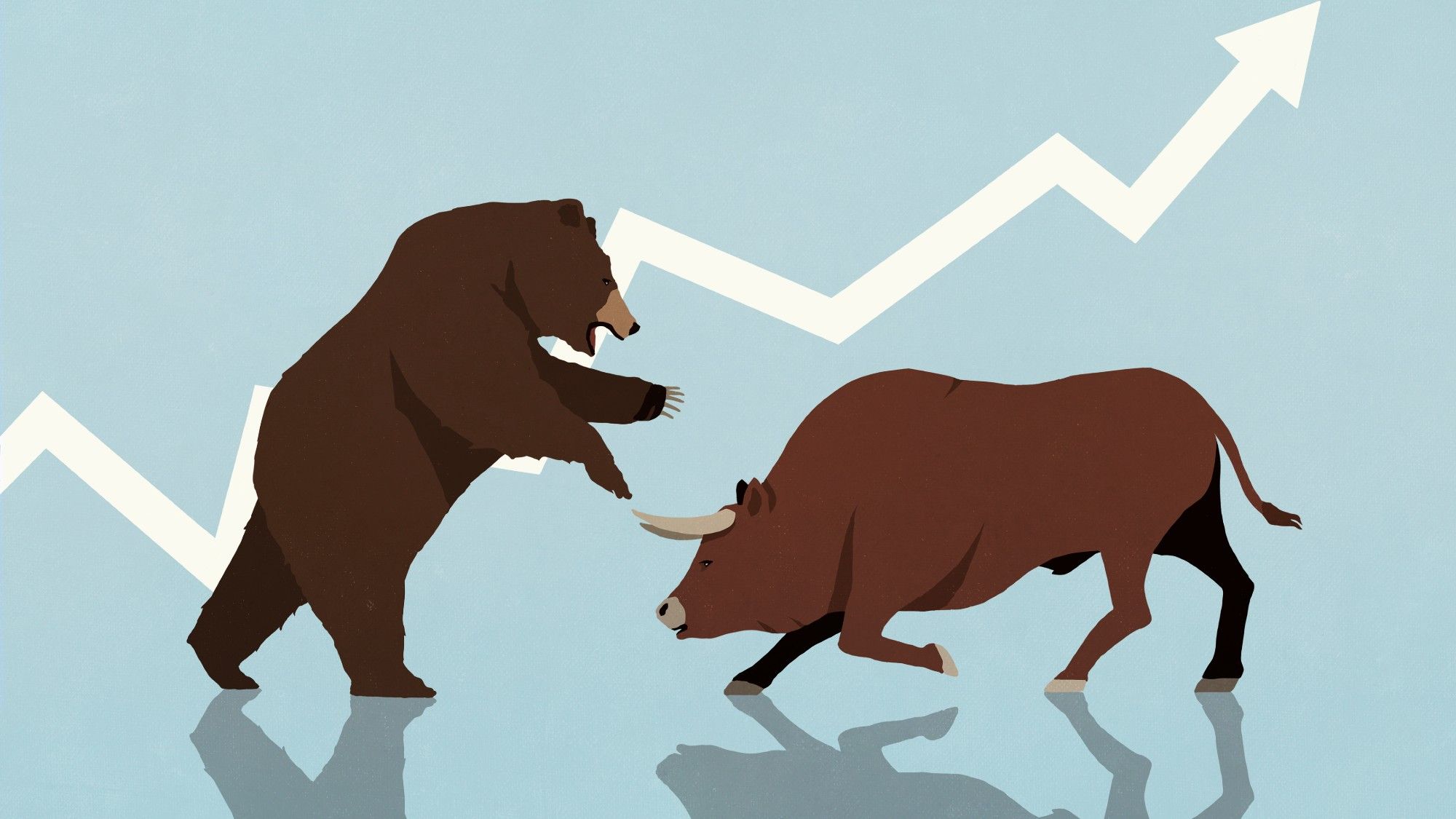 What’s the difference between a bull market and bear market?