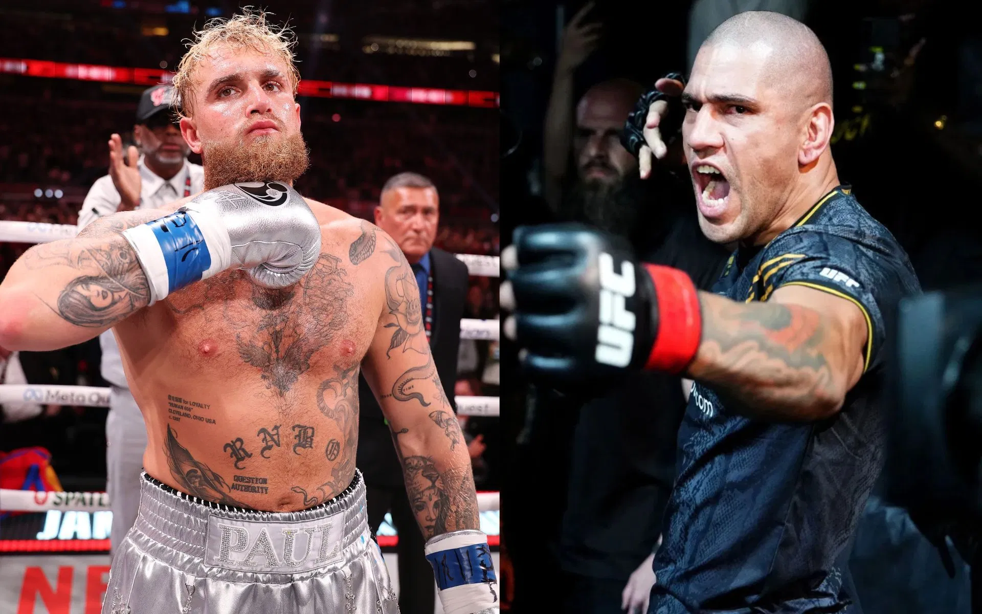 His team is down - Jake Paul shares major stumbling block to massive fight against Alex Pereira