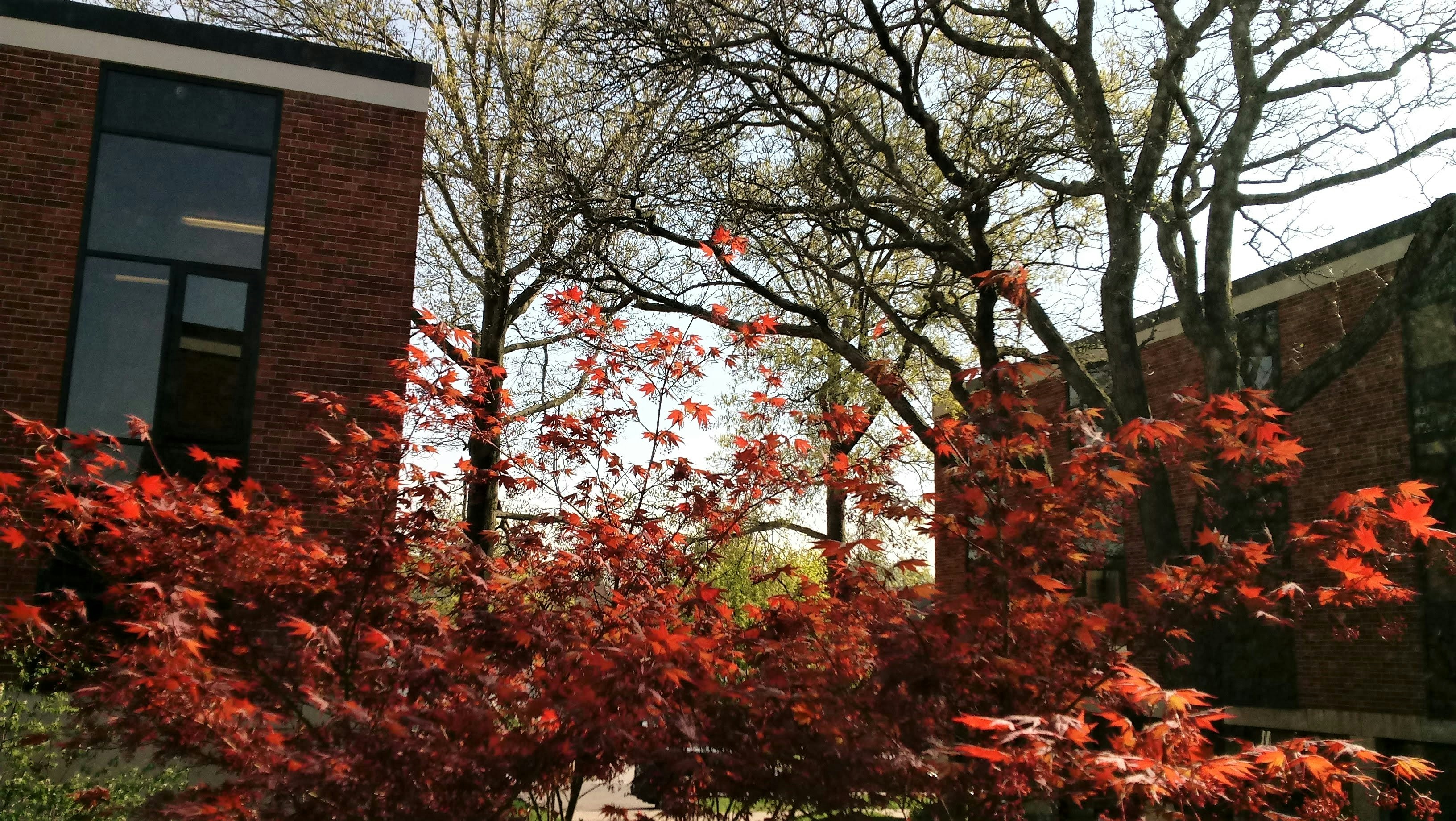 The Polders of Flevoland