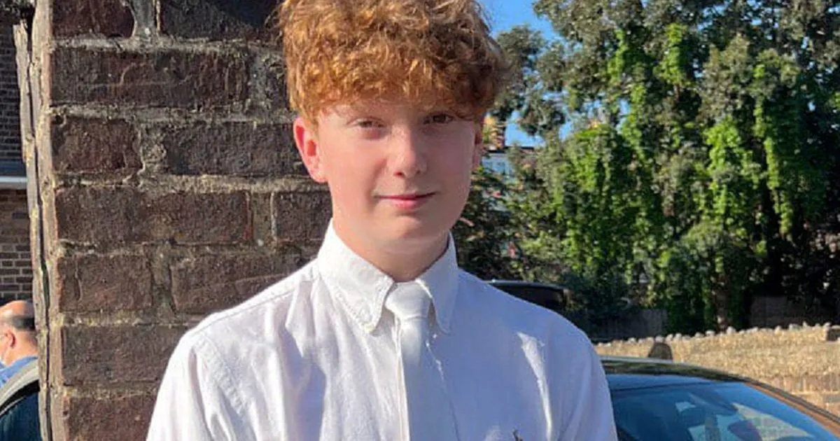 Teen guilty of stabbing schoolboy to death on New Year’s Eve fireworks display in Primrose Hill