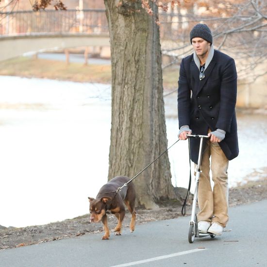 ‘I love my animals... they mean the world to me and my family’ – Tom Brady clones his dead dog