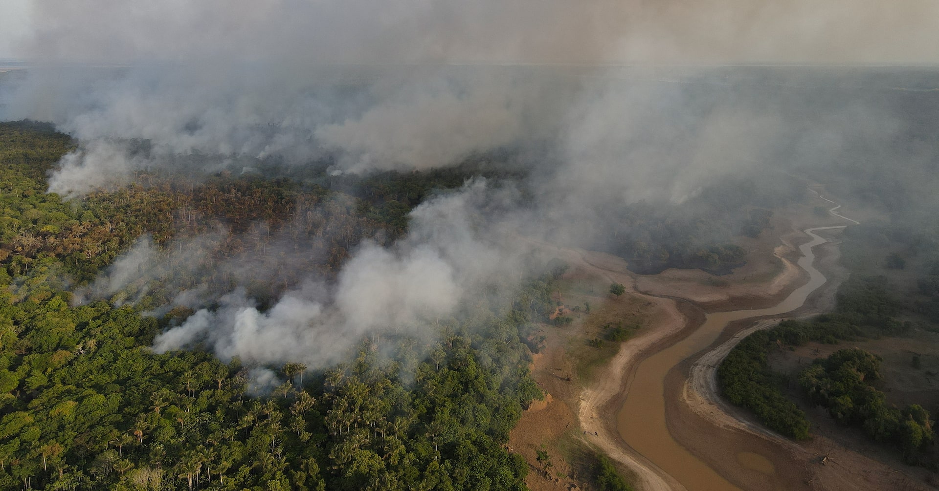 COP30: The latest in climate science, from faster warming to coral collapse