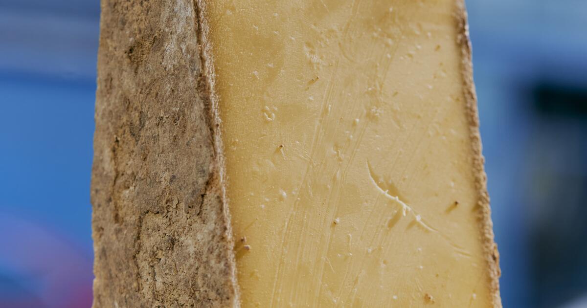 Why the fall is the best time for cheese