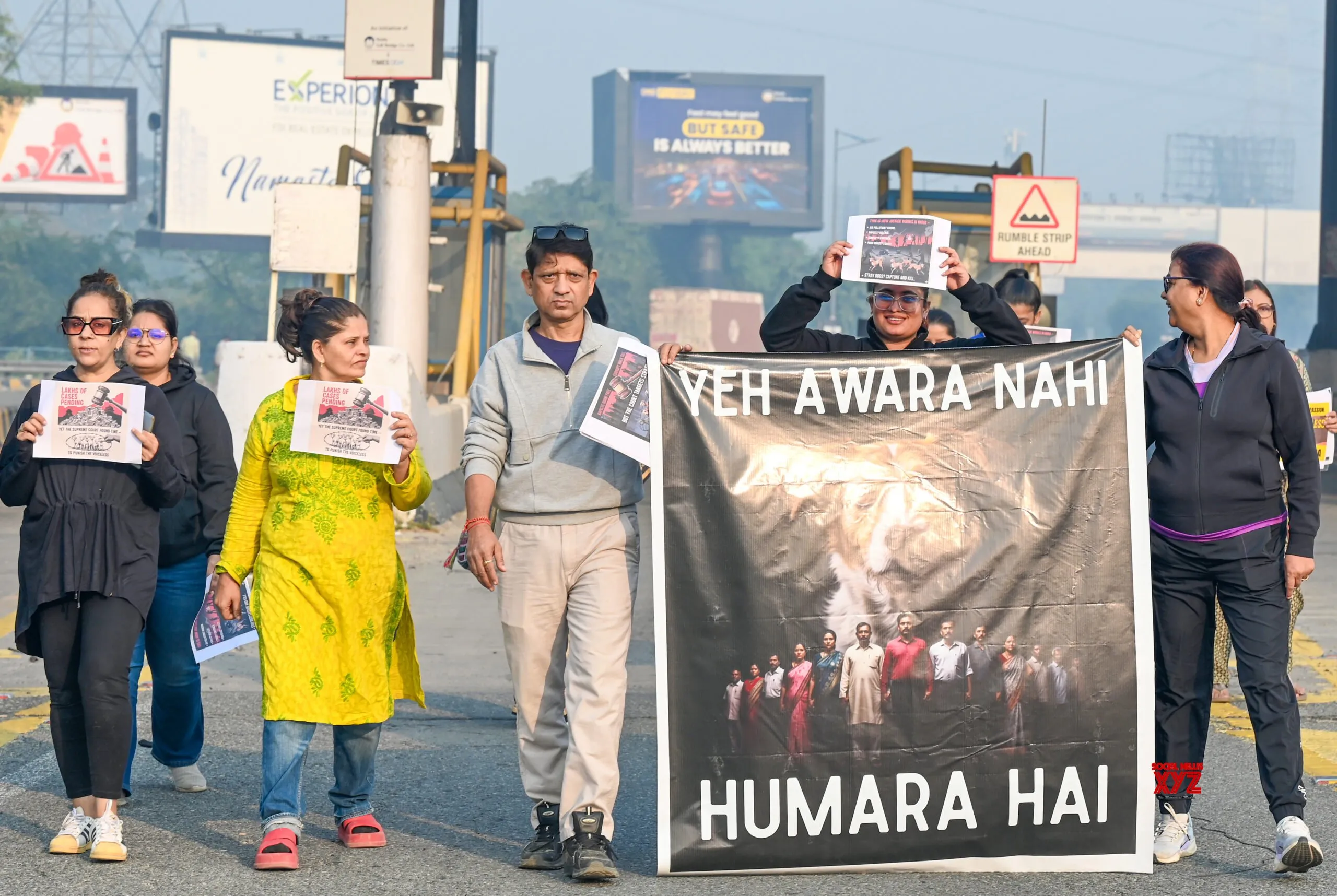 Noida: Animal Lovers Protest at DND #Gallery