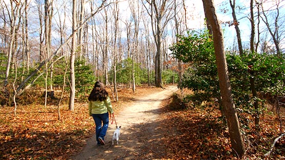 Spots open in Virginia Ranger Conservation Corps