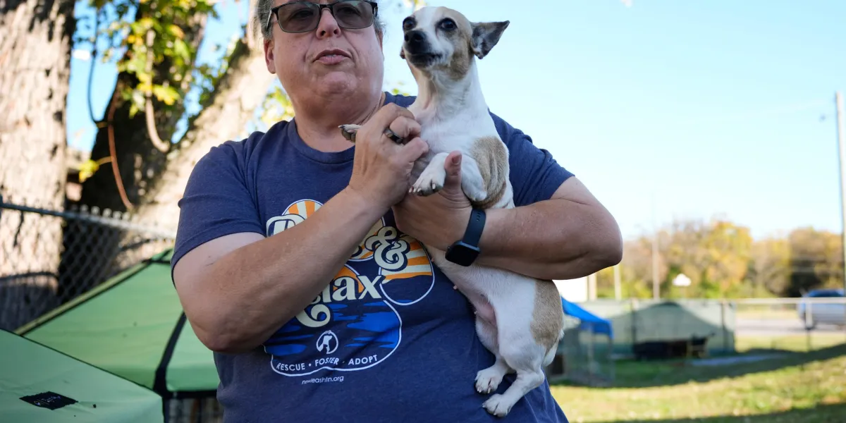 'People are exceptionally panicking': SNAP disaster leaves many Americans unable to feed their pets, let alone pay their bills