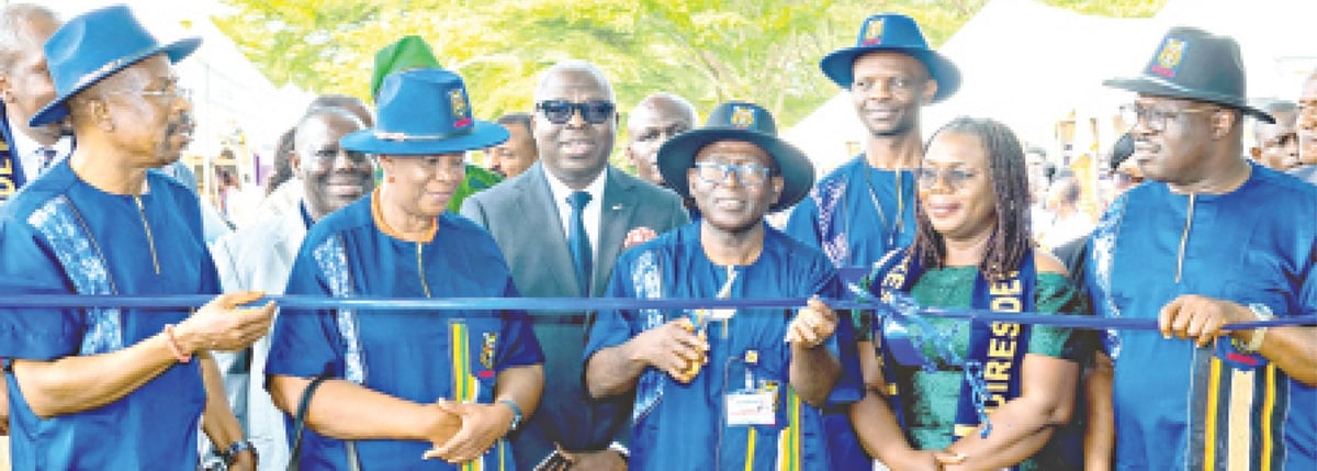 Research, innovation, development pillars of societal progress — UI VC