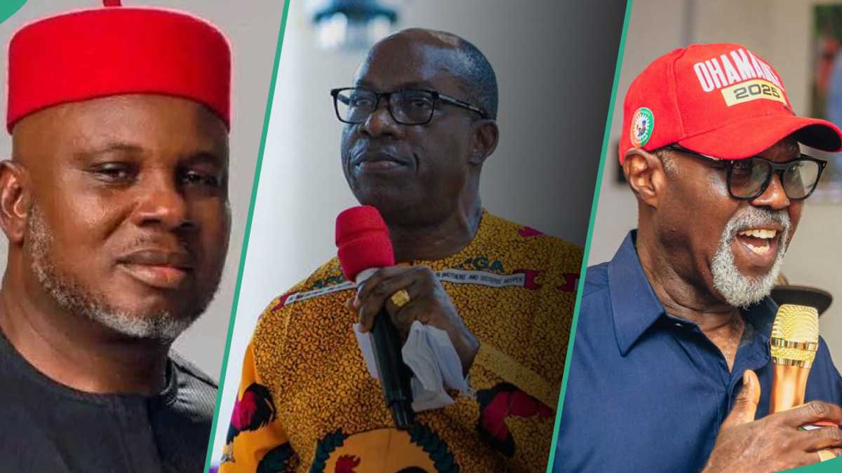 INEC releases credentials of top Anambra governorship candidates
