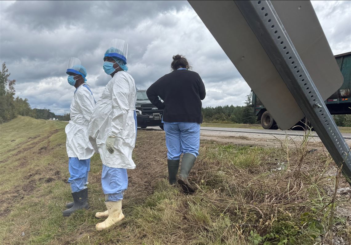 Gene Collier: Oh deer, not driving tips