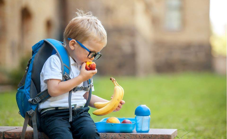 MHK wants to know how many children choose school meals over packed lunch