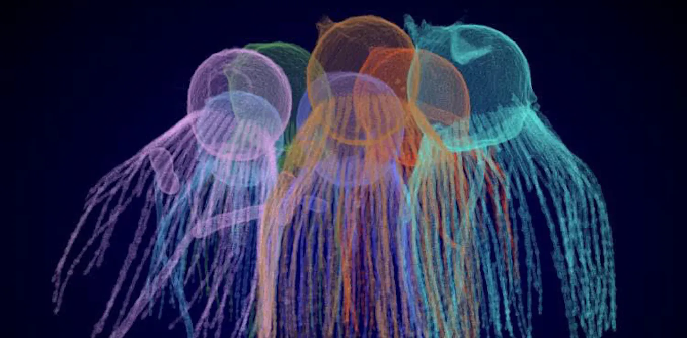 How the first animals evolved – a new clue from a tiny relative