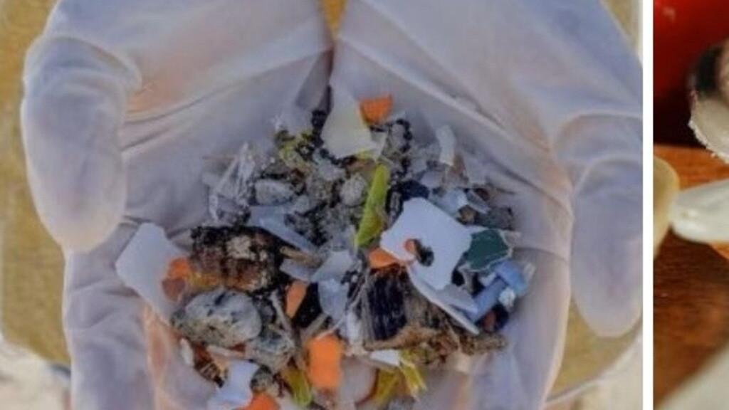 NSW announces next stage of plastic bans including bread tags and pizza savers