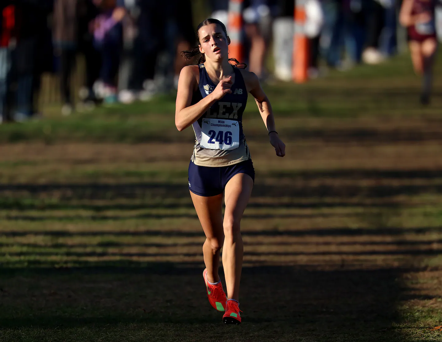 Even without its top runner, Billerica girls run away with Division 1C title