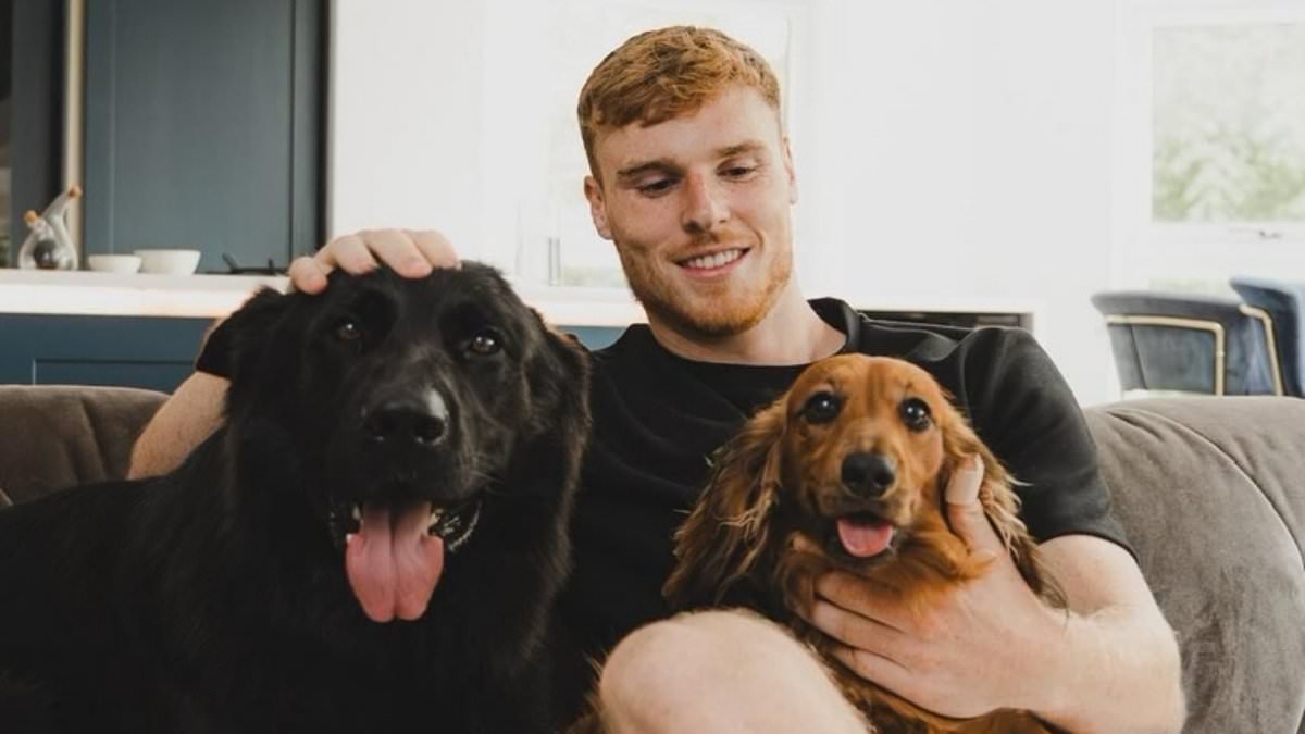 Premier League star reveals he's bought a protection dog amid fears of 'Away Day' thieves after wave of burglaries saw Jack Grealish, Joelinton and Victor Lindelof all targeted