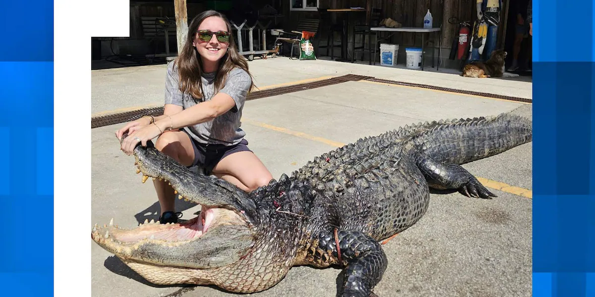 Woman on maternity leave catches 12-foot alligator, earns nickname ‘Gator Girl’