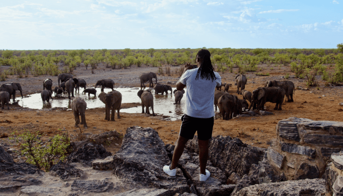 Senate approves wildlife protection bill, moves to toughen fight against trafficking