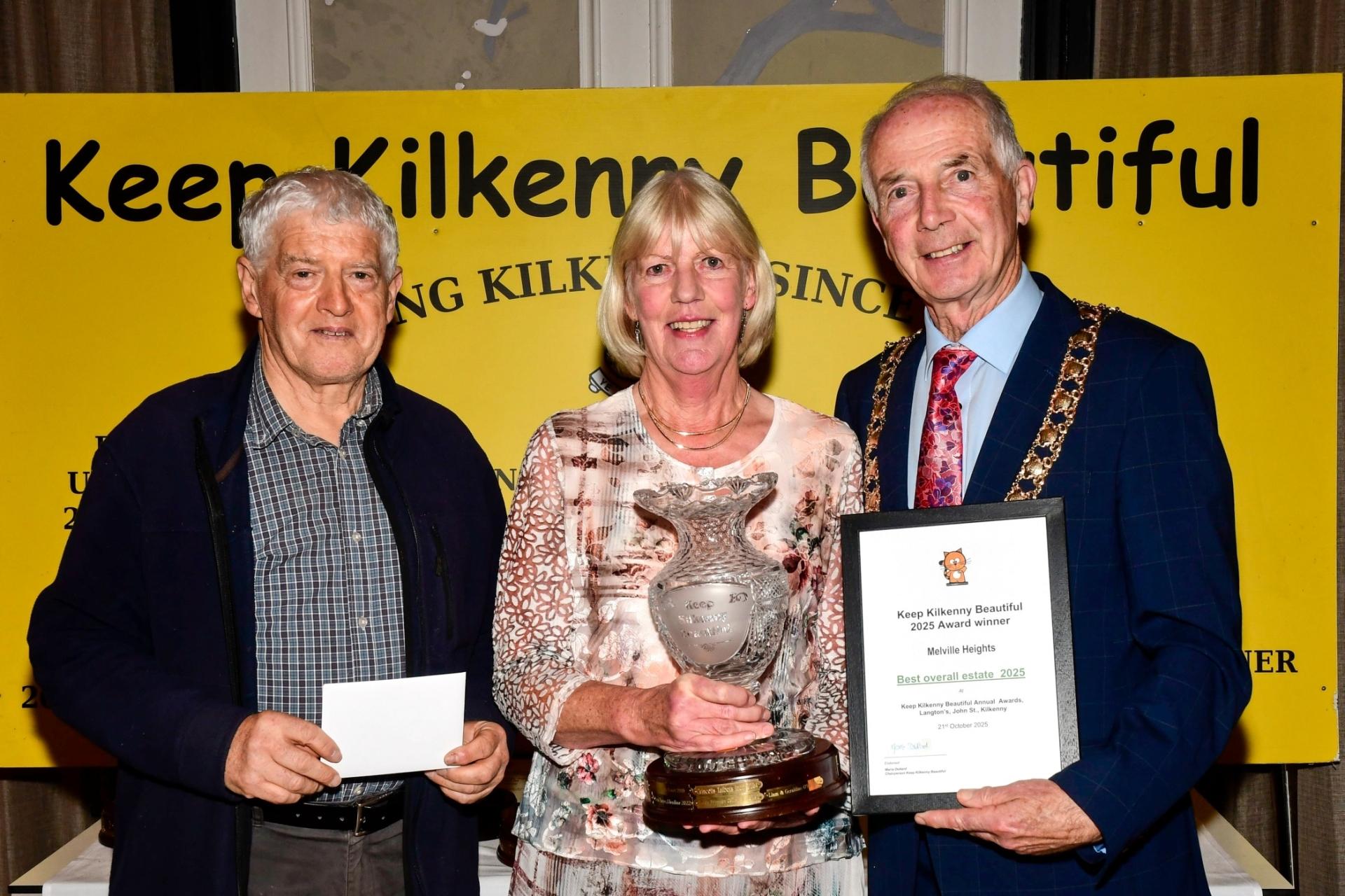 All the results - What the Tidy Towns judges said about every Kilkenny entry!