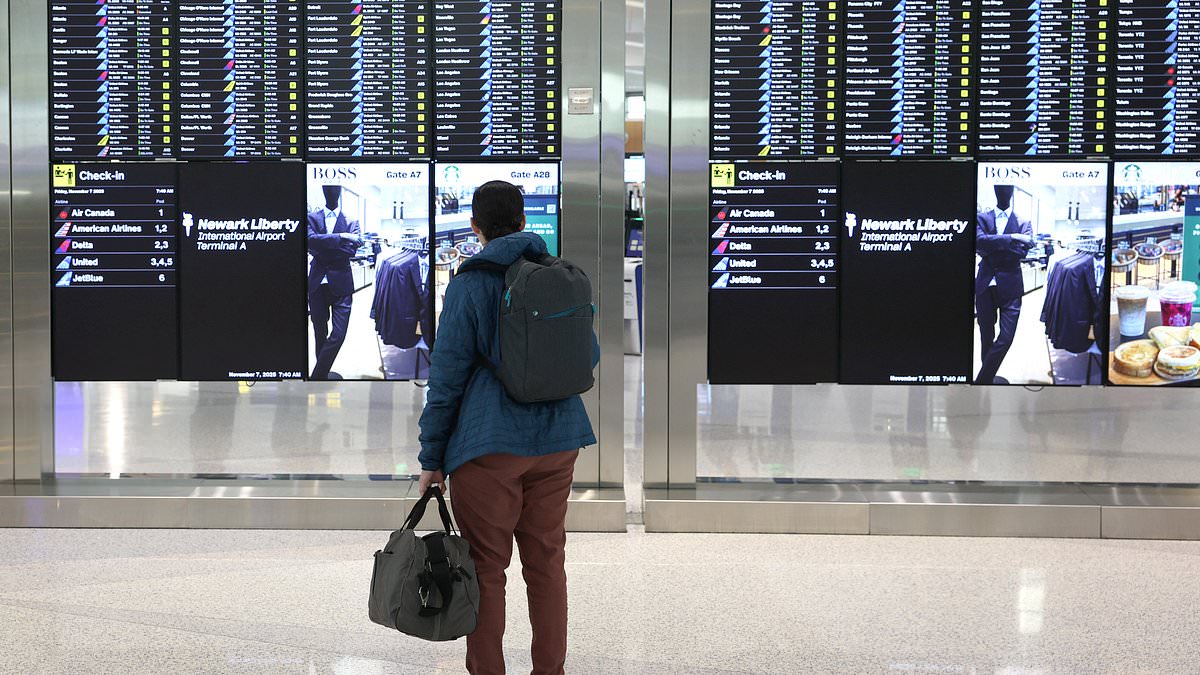 Travel chaos erupts as flights are grounded at one of America's busiest airports