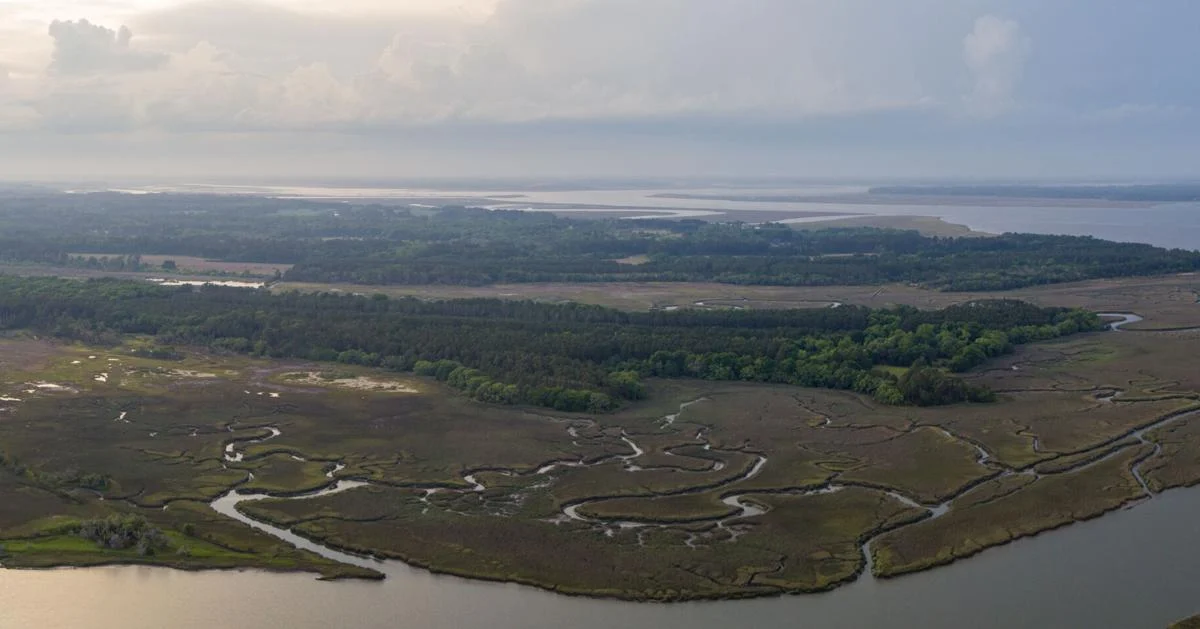 Septic systems seen as guard against gentrification in SC