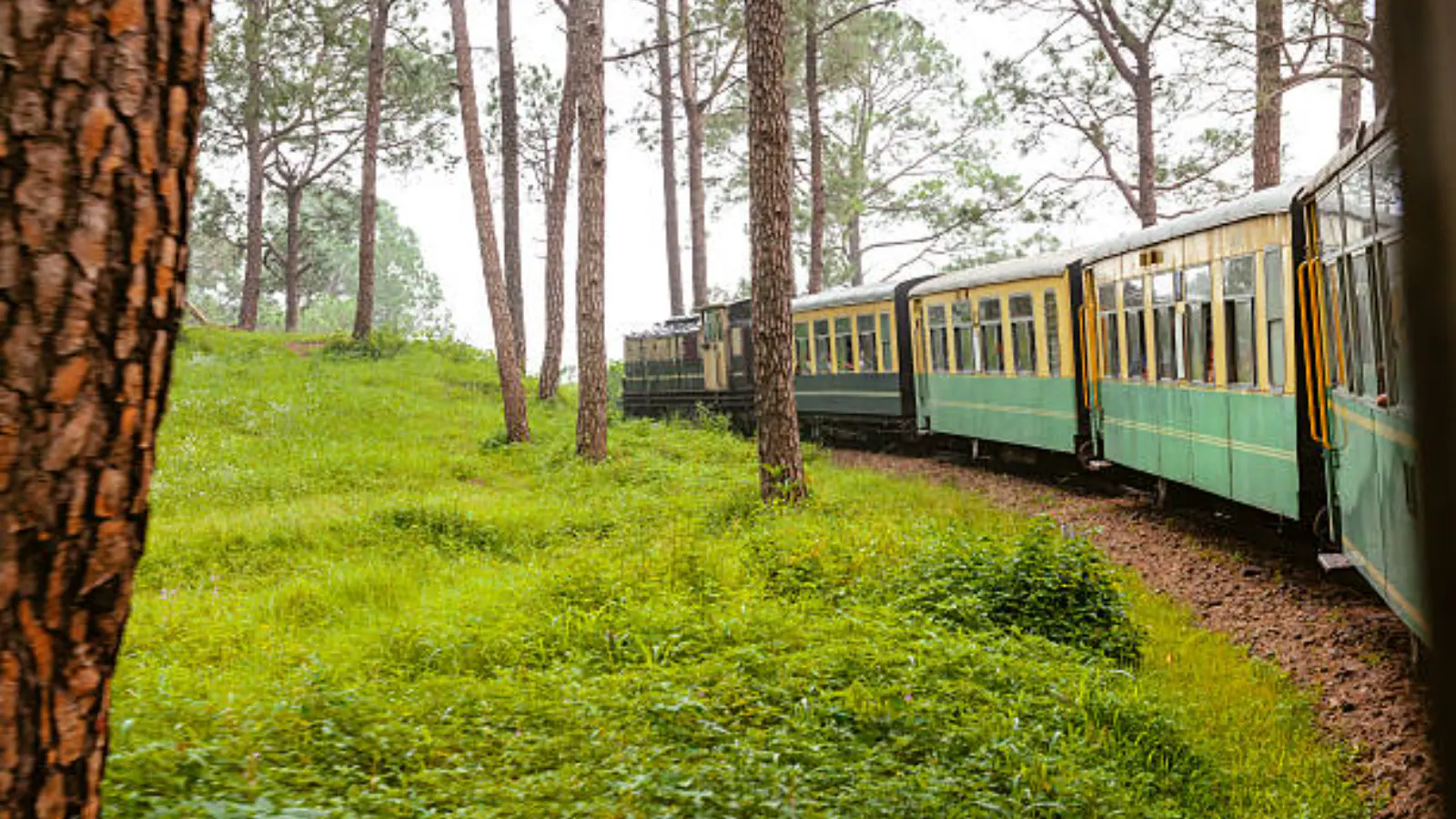 Matheran Toy Train Resumes Journey: Here’s How To Book Tickets And Prices