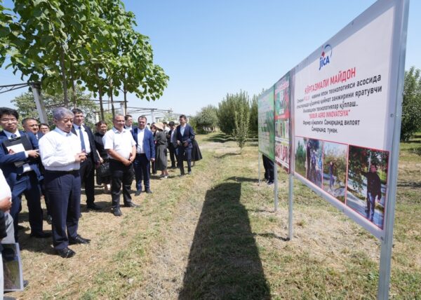 The Future of Japan’s Official Development Assistance Under Takaichi