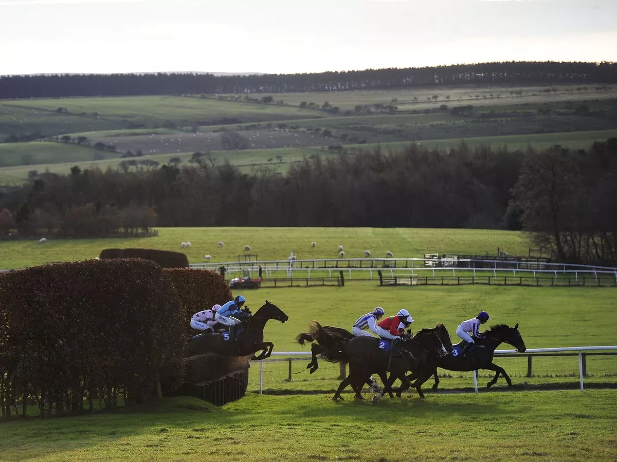 Hexham racing tips and Friday best bets for Newcastle, Fontwell and Exeter