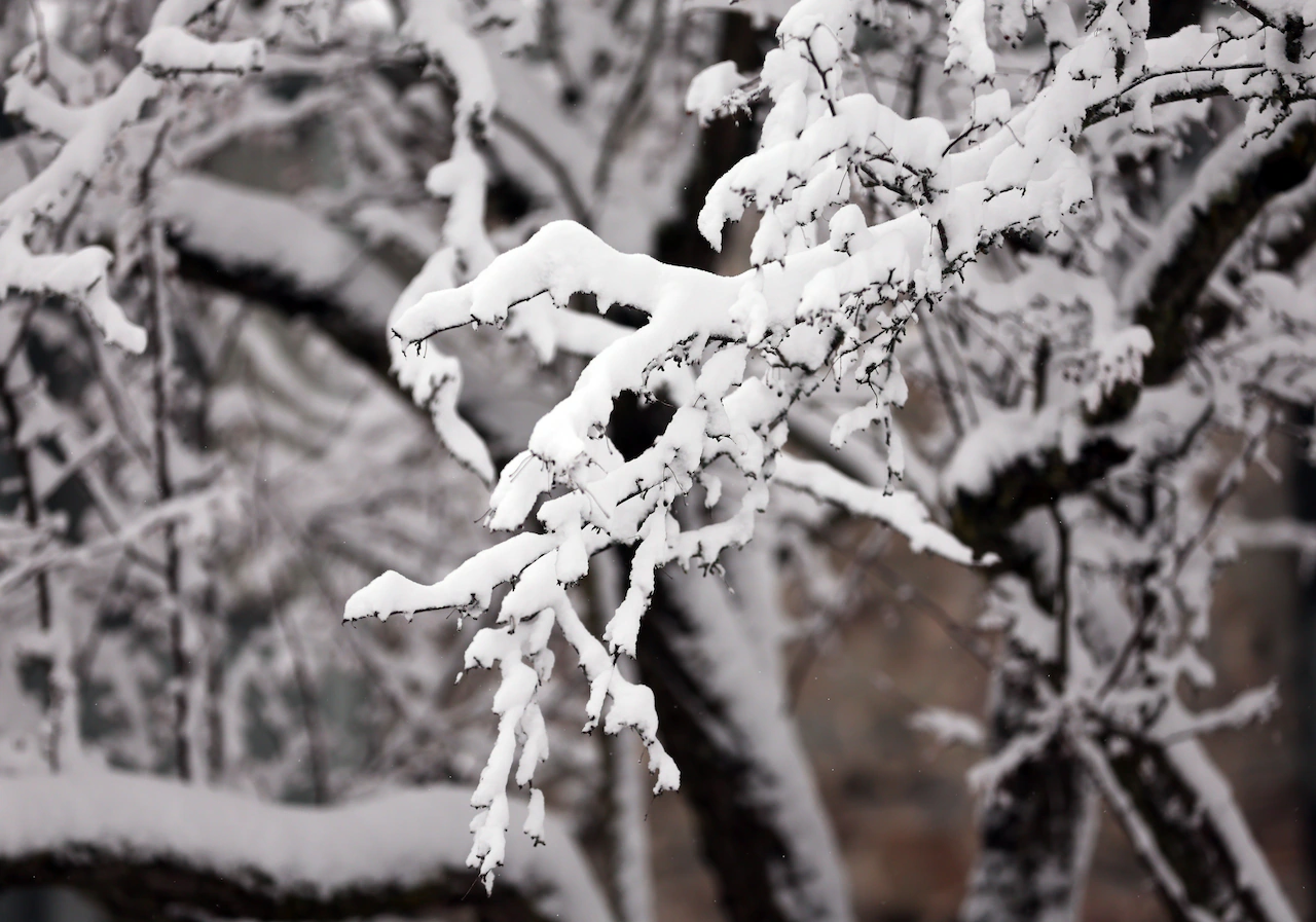 Heavy snow expected in NE Ohio; 3-5 inches possible