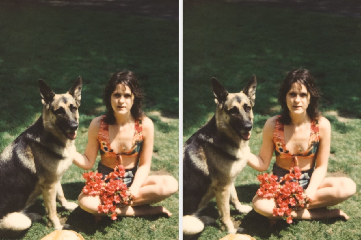 Dog Health Changes Vets Say You Shouldn't Ignore