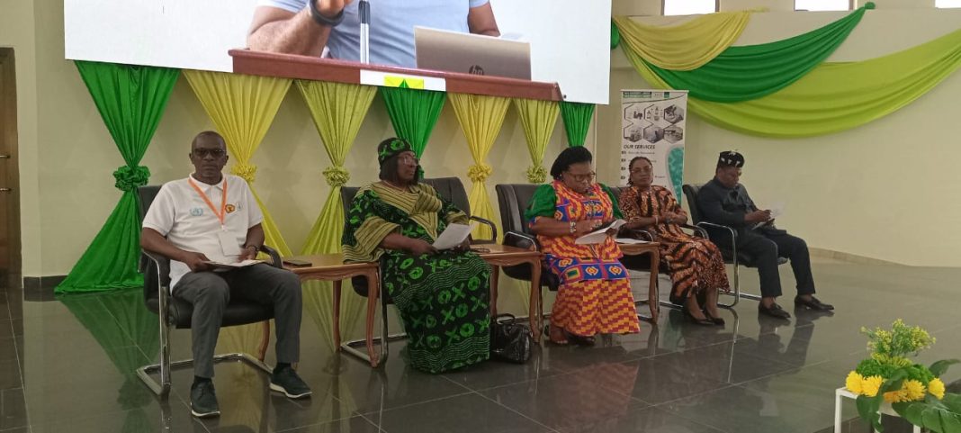 Traditional medicine vital to Ghana’s healthcare system – Health Minister 