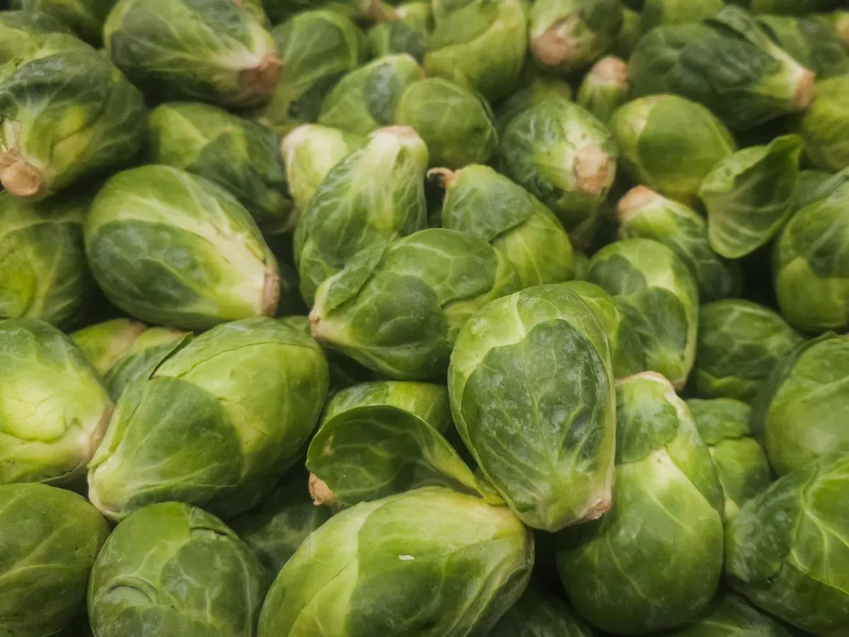 Festive food warning for anyone on statins, warfarin or antidepressants