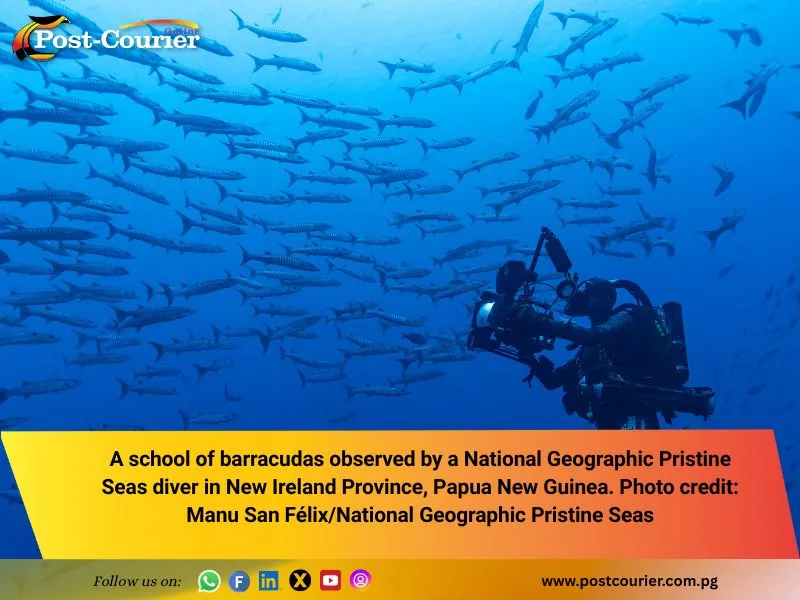 Tingwon Islands ‘Tambu’ zone delivers spectacular marine health, researchers confirm