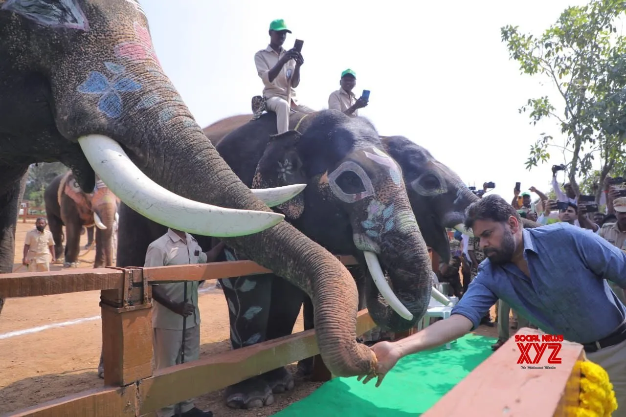 Andhra Dy CM Pawan Kalyan launches Kumki elephant training centre