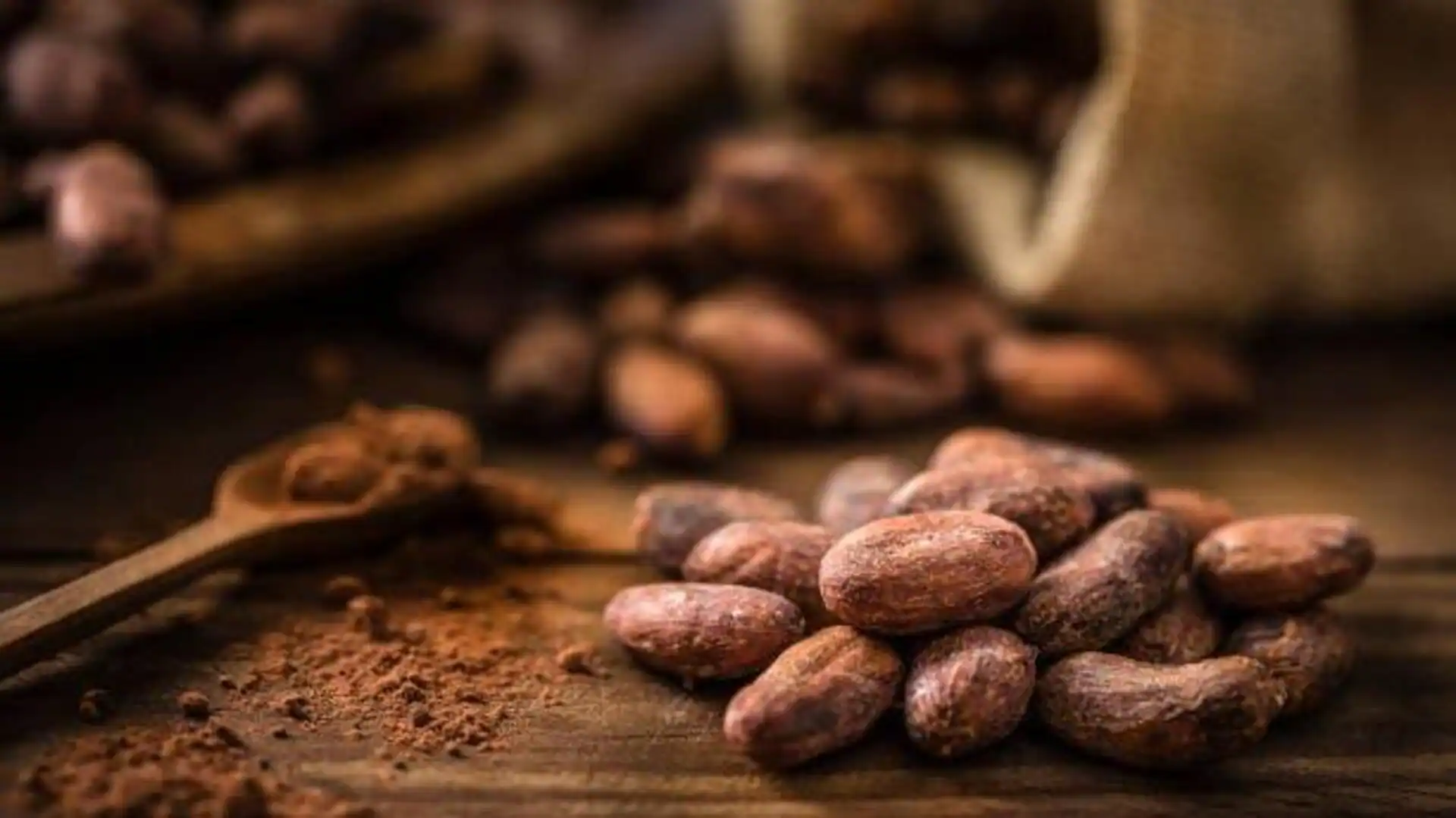 Why cocoa is great for your skin