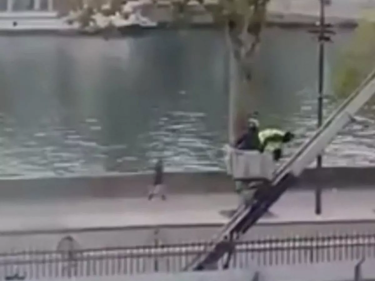 Two suspects in Louvre 'heist of the decade' partially admit crime, says prosecutor