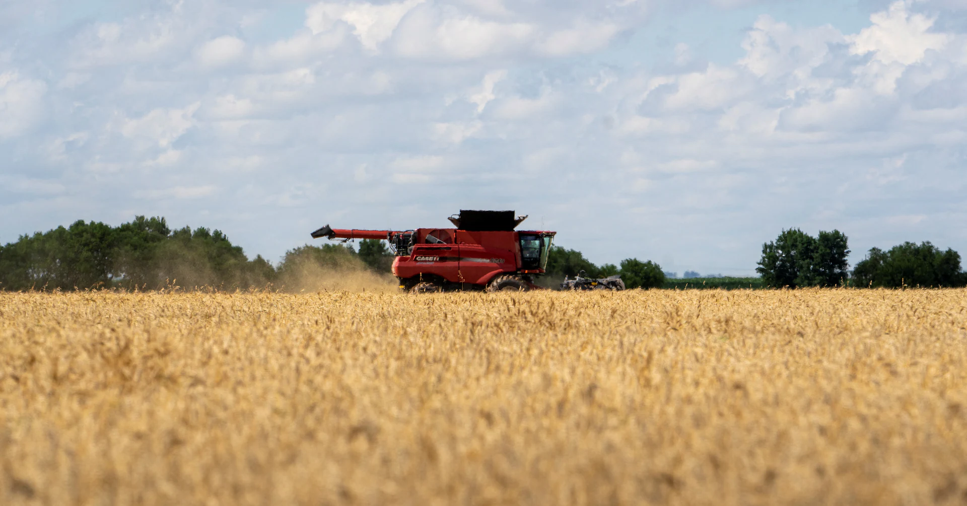 China begins limited purchases of U.S. farm goods after Trump-Xi meet - Reuters