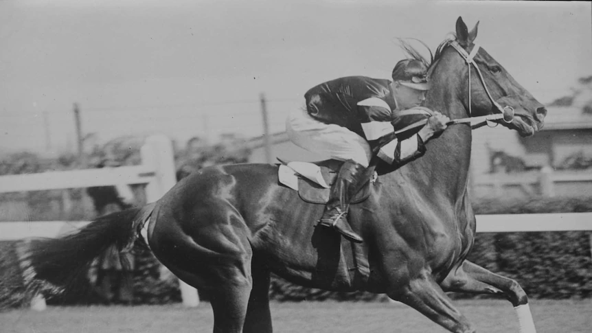 Phar Lap turns 100 in 2026. This year, two musicals inspired by him debut