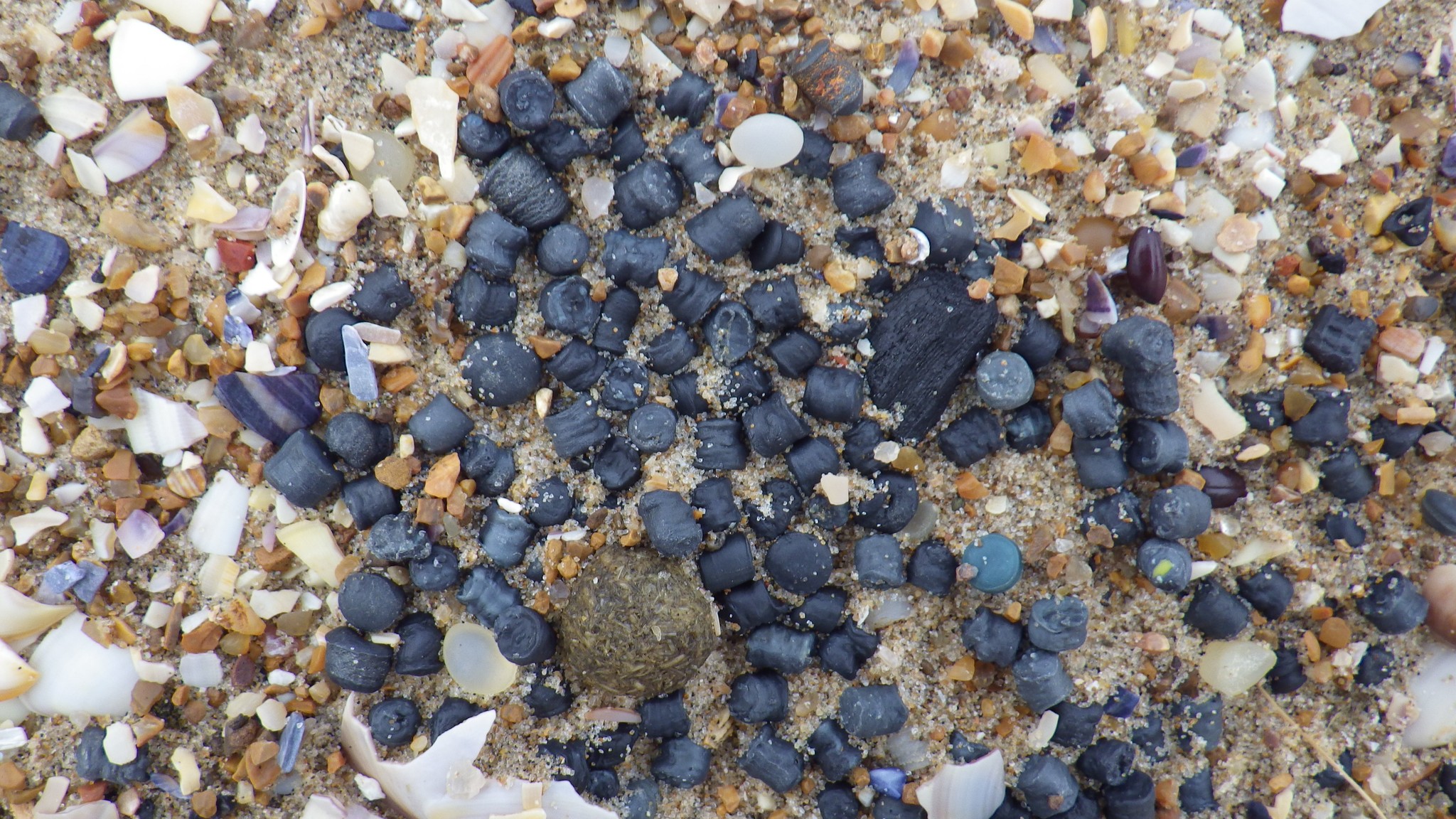 Camber Sands Disaster: How Tiny Plastic Beads Sparked a Major Ecological Scare Along Britain's Coast