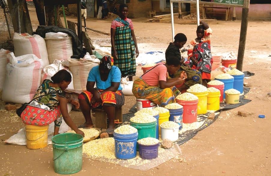 Government Reaffirms Ban on Maize Exports to Safeguard National Food Security