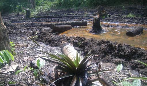 Oil wealth leaves poverty trail three decades later