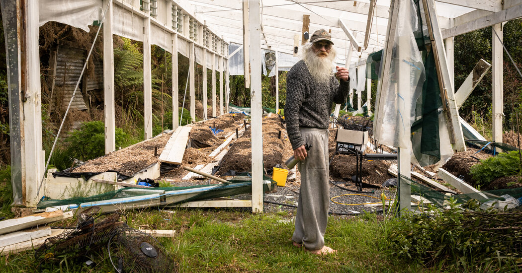 Medical Marijuana Grower in New Zealand Faces Criminal Charges